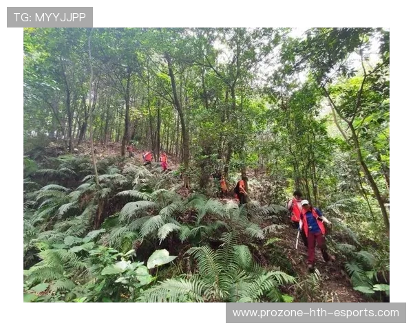 世界登山青年导师环保志愿行年度影响报告发布，世界登山协会