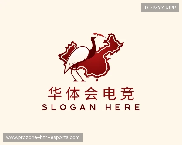 发现华体会电竞